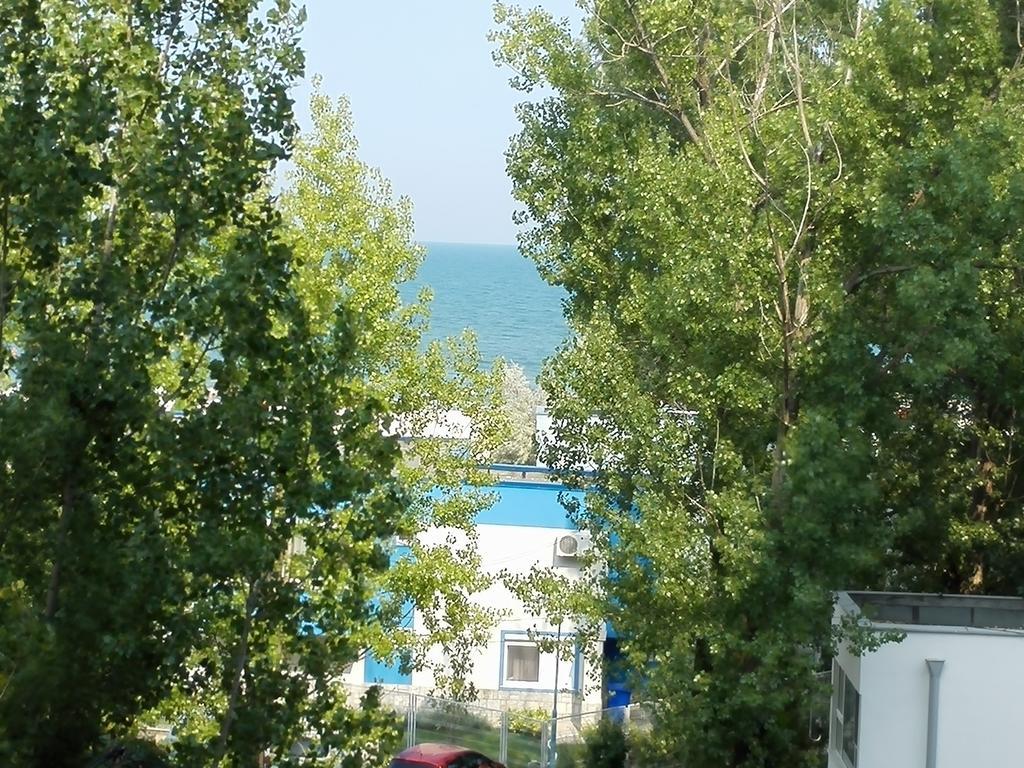 Blue Bike Studio Mamaia Ruang foto